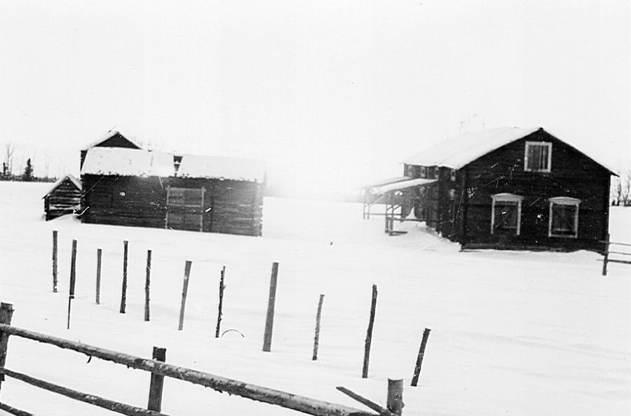 Lainio 27 B.jpg - Rovas gård, 1950-tal.